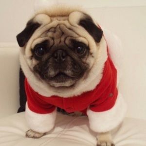 Happy holidays to all of my wonderful customers